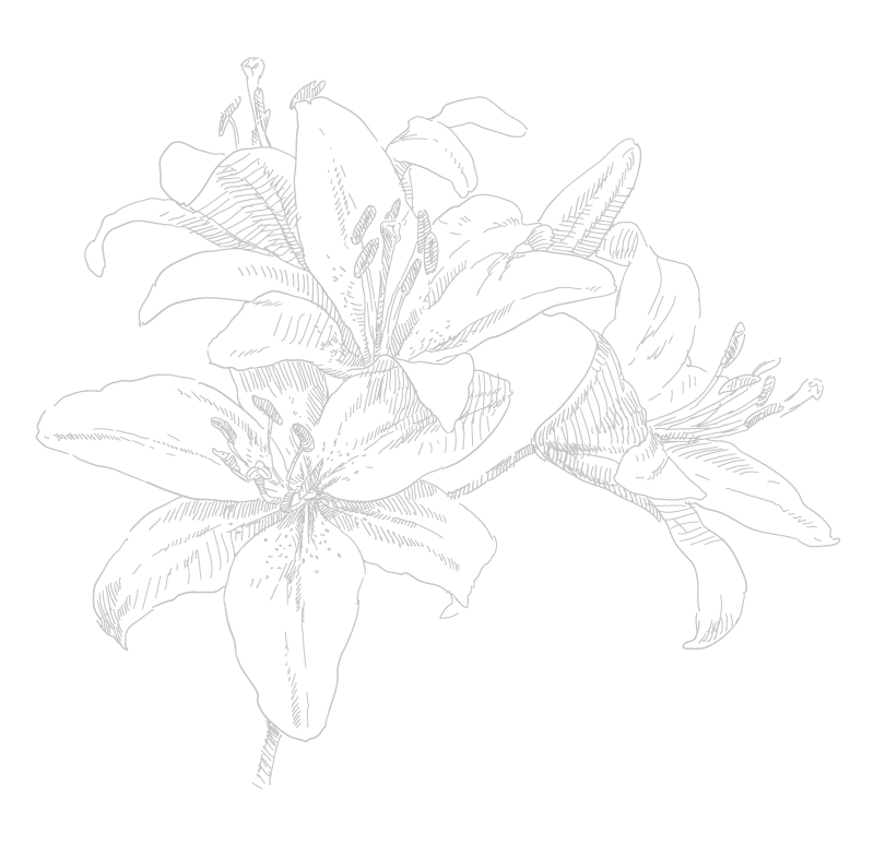 lys-2
